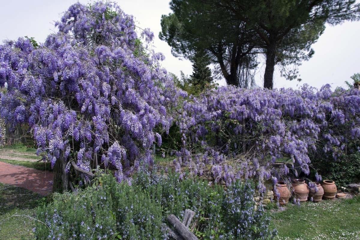 Molino In Chianti Villa Mercatale Val Di Pesa Екстериор снимка