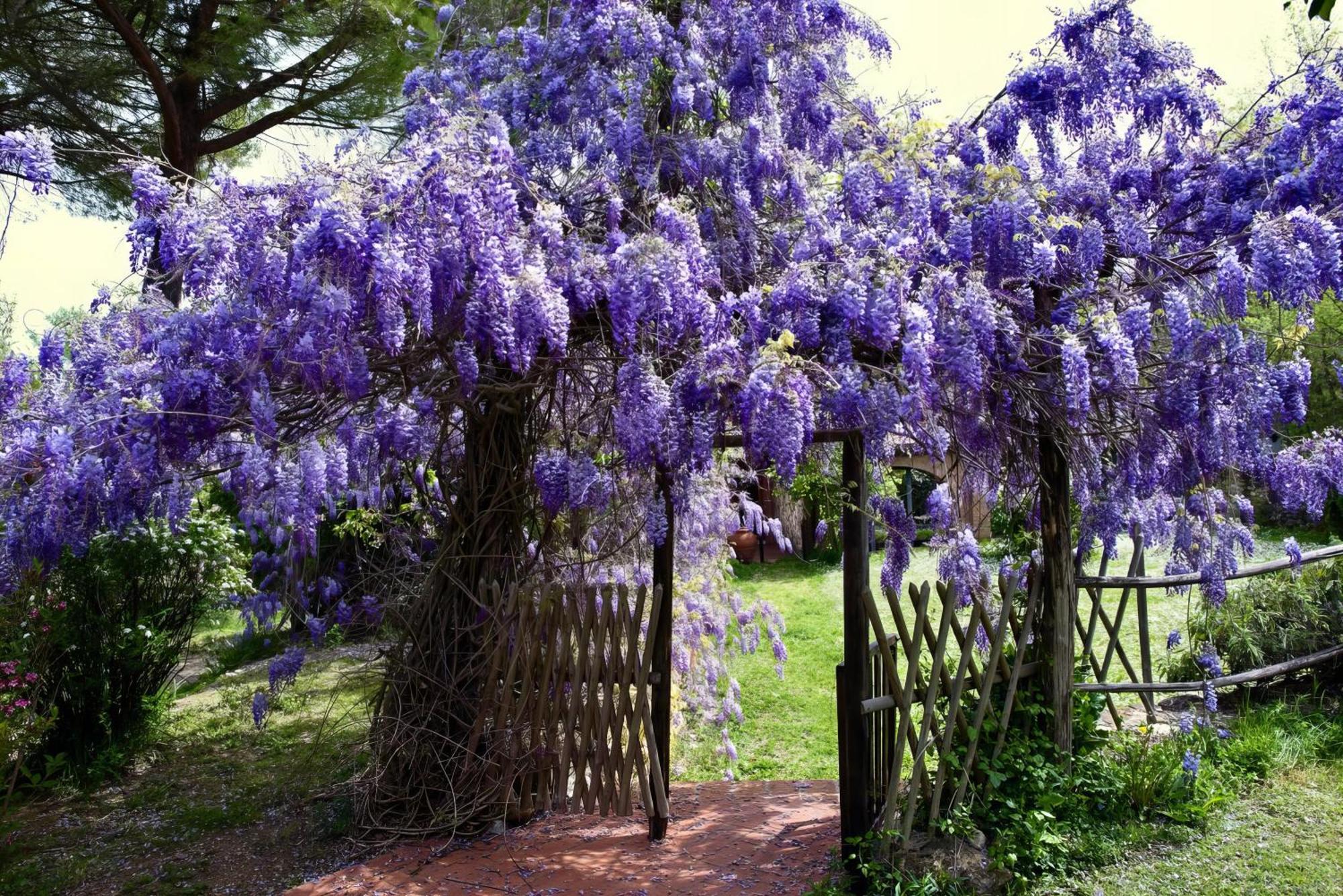 Molino In Chianti Villa Mercatale Val Di Pesa Екстериор снимка