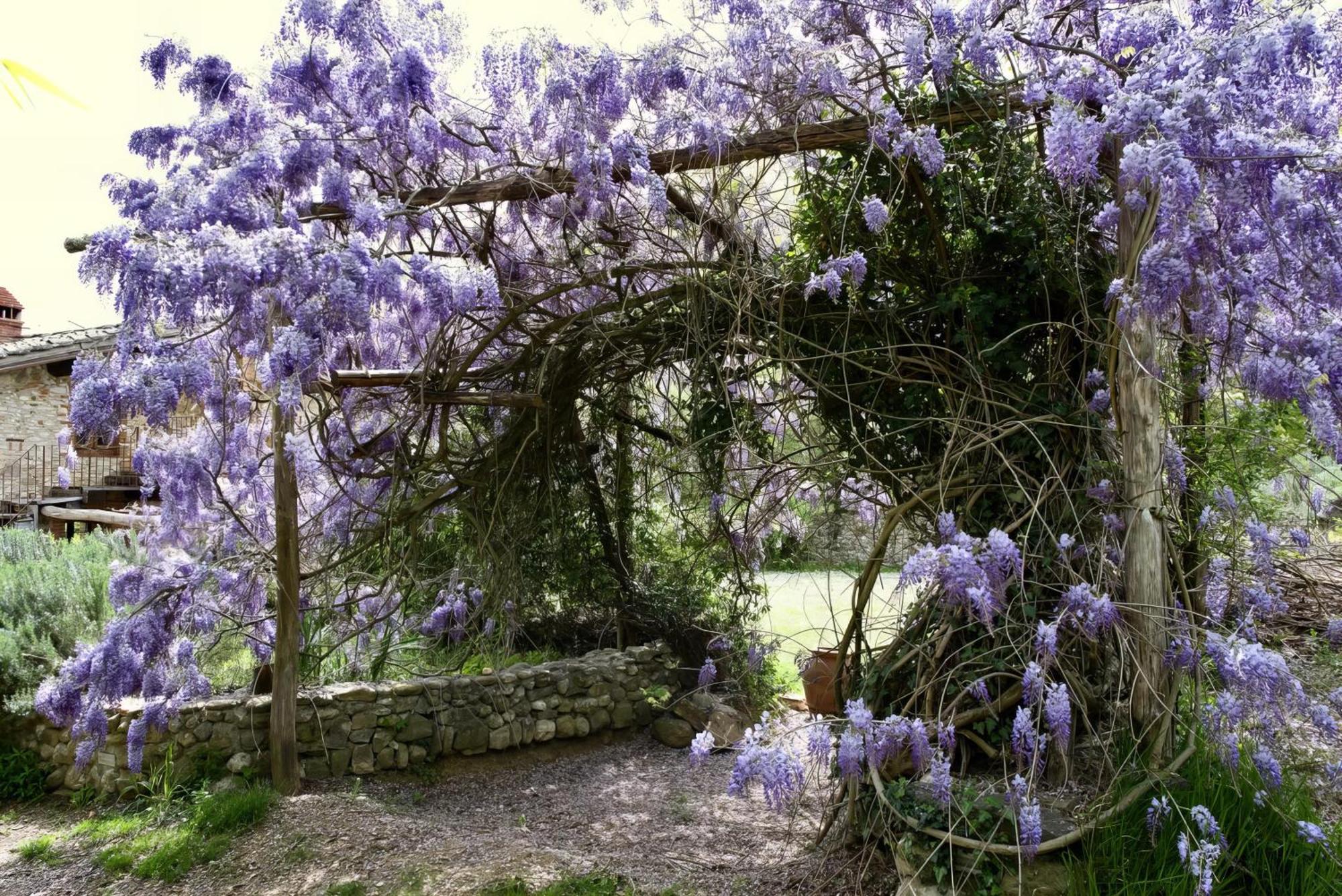 Molino In Chianti Villa Mercatale Val Di Pesa Екстериор снимка